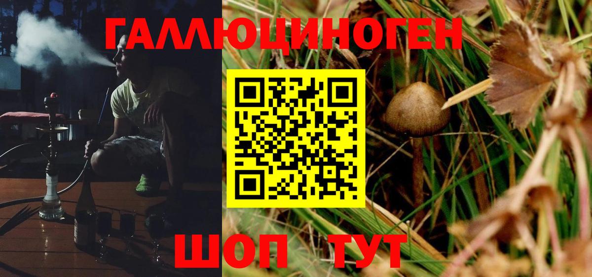Псилоцибиновые грибы Magic Shrooms Гай