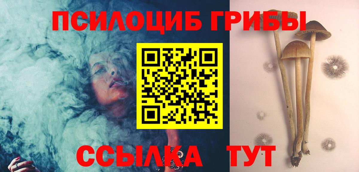 Гай  Галлюциногенные грибы мухоморы  цены наркотик  Вход с VPN 